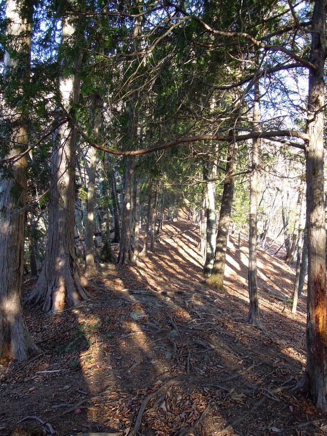 e0329049_1441303.jpg