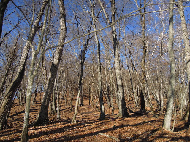 e0329049_14434249.jpg