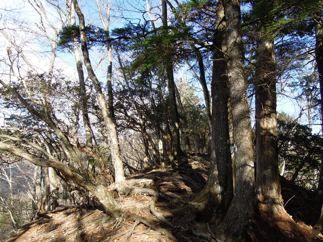e0329049_1502547.jpg
