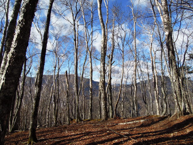 e0329049_150815.jpg