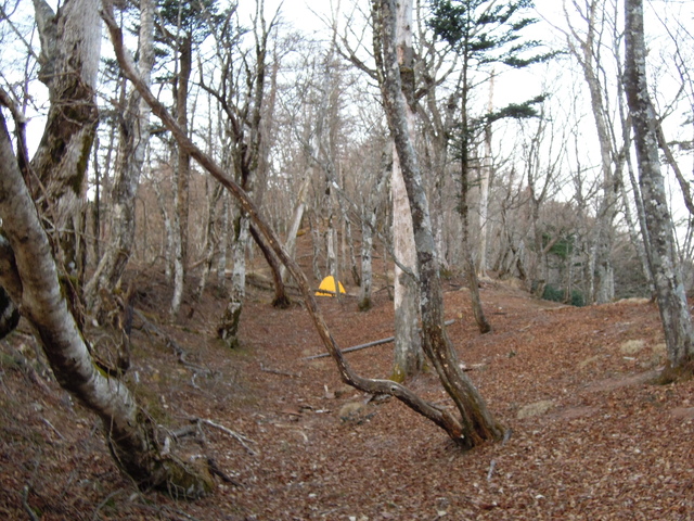 e0329049_15465618.jpg