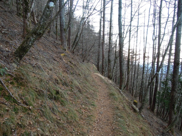 e0329049_15482745.jpg
