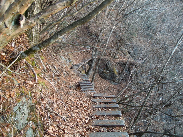 e0329049_15484152.jpg