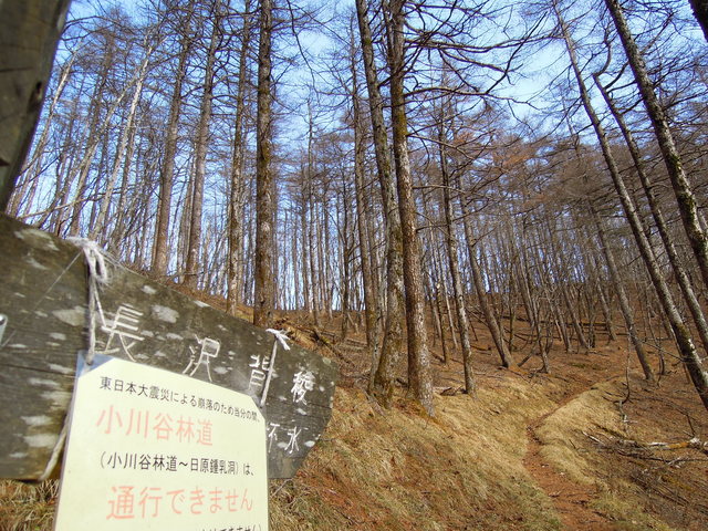 e0329049_1555782.jpg