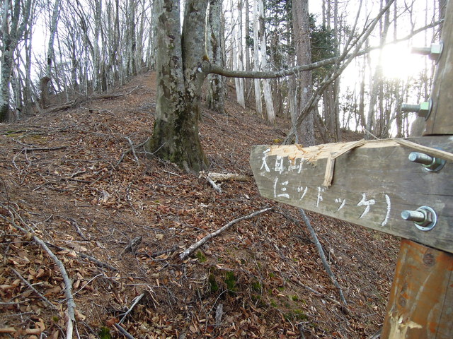 e0329049_1556577.jpg