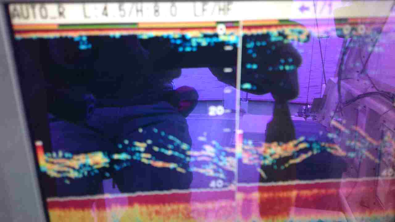a0248152_18165699.jpg