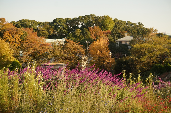 f0257756_2311110.jpg