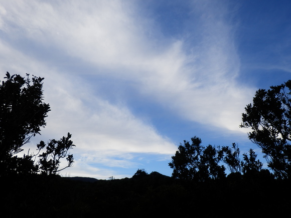 e0292172_20534046.jpg