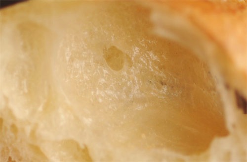 c0196673_9212110.jpg