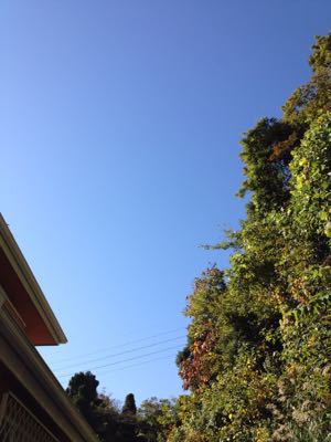 b0177174_2313471.jpg