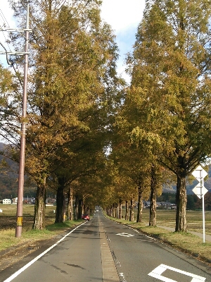 c0204188_1345737.jpg