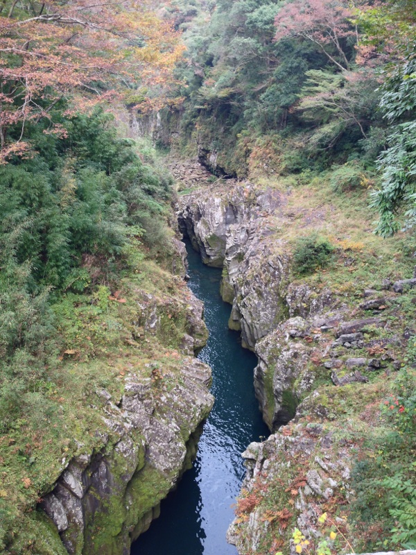 e0145589_22364534.jpg