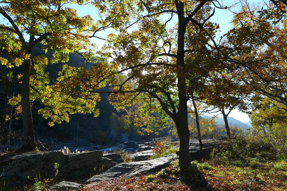 a0127090_21194811.jpg