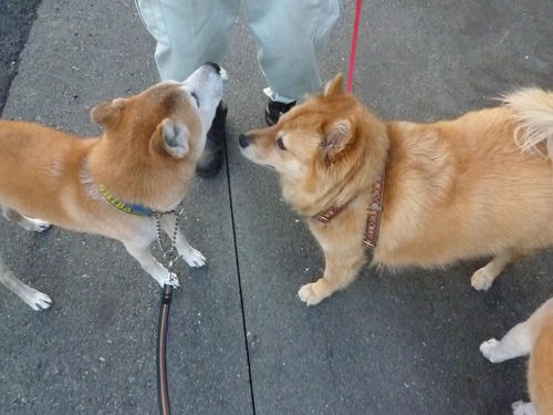 c0123890_2055343.jpg