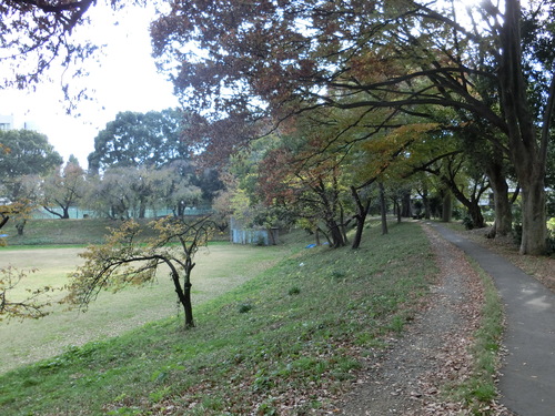 a0319693_16151169.jpg