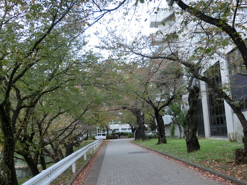 a0319693_1685533.jpg