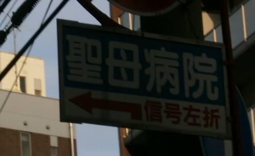 d0000995_1721652.jpg