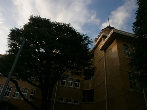 d0000995_17265764.jpg