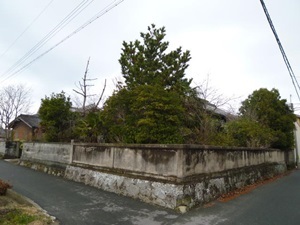 d0240201_11414143.jpg