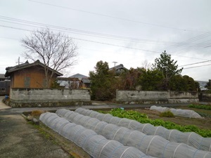 d0240201_11414155.jpg