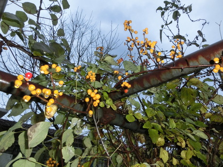 a0203003_22301349.jpg