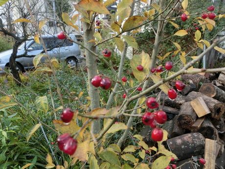 a0203003_2230294.jpg