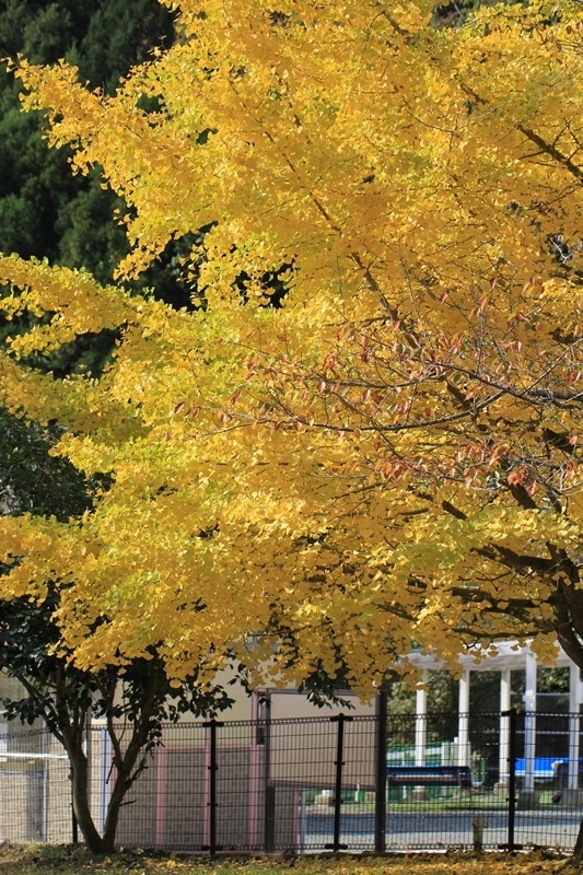 b0207615_21380824.jpg