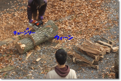 b0167519_11331555.gif