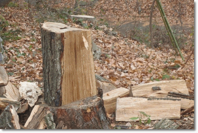 b0167519_12474532.gif