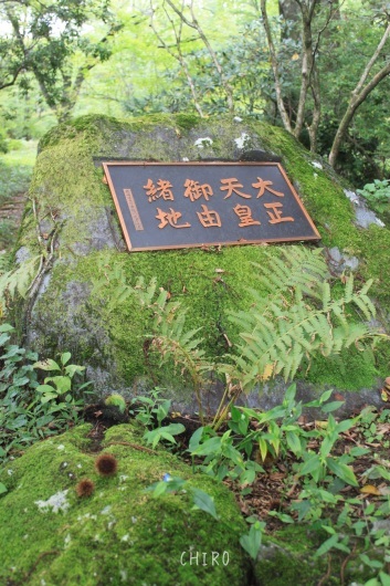 f0293522_01390391.jpg