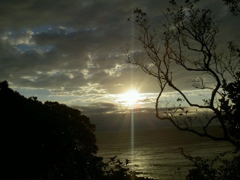 b0252727_435468.jpg