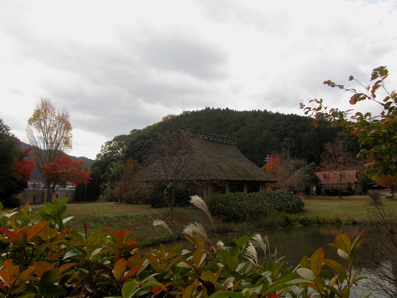 f0054429_21524114.jpg