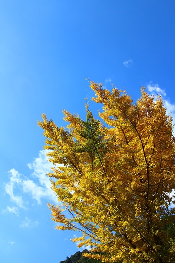 c0239235_2175035.jpg