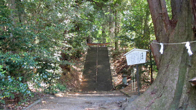 f0208737_8432919.jpg