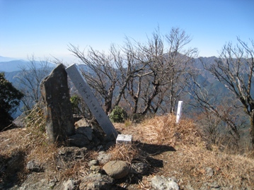 c0077338_548541.jpg