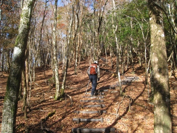 c0077338_5531520.jpg