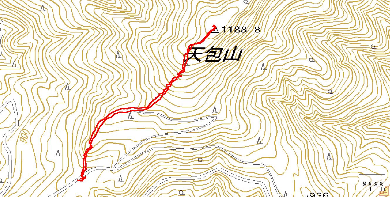 c0077338_5542172.jpg