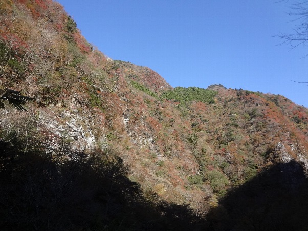 b0149340_20522124.jpg