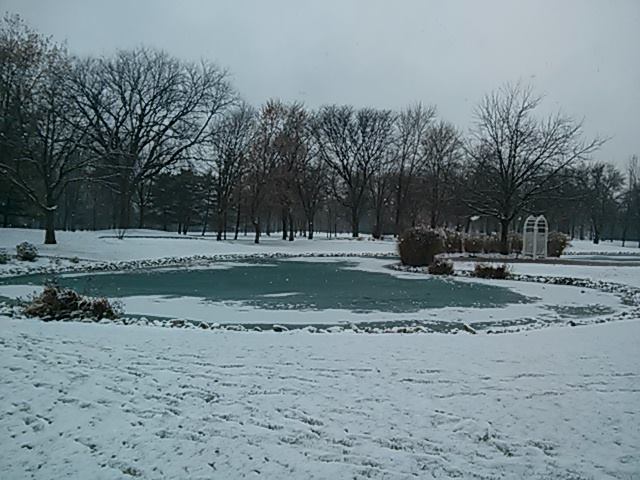 f0095873_7394990.jpg