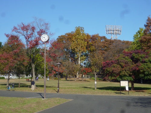 c0123890_2242910.jpg