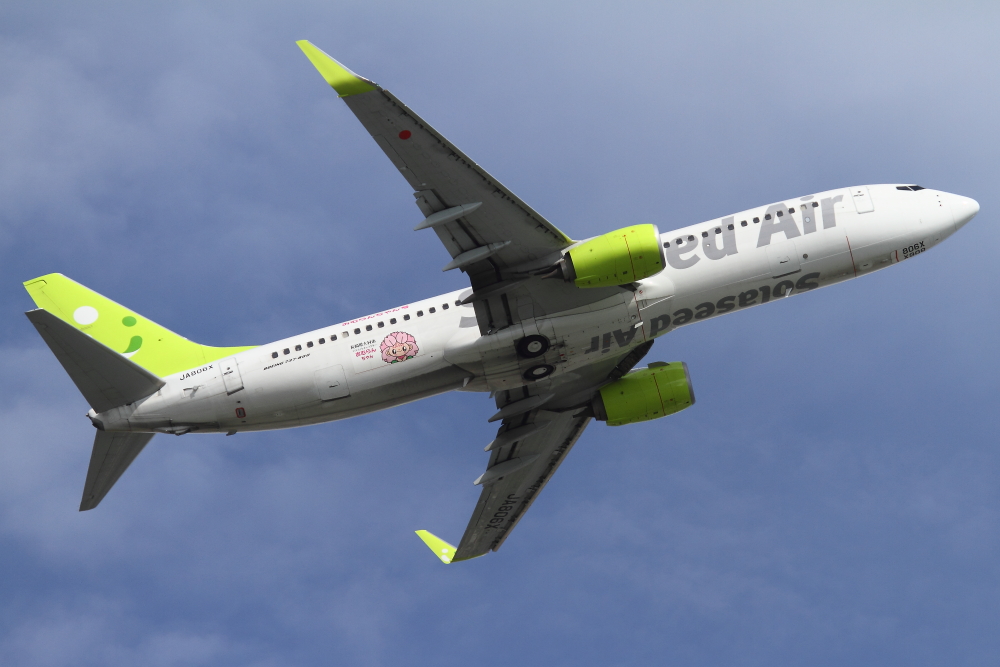 e0204891_20292014.jpg
