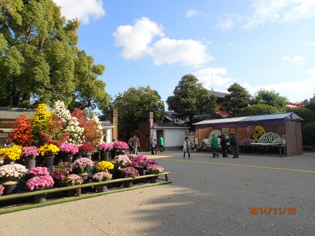 a0036693_2055678.jpg