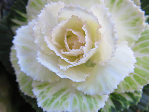 d0046702_21304494.jpg