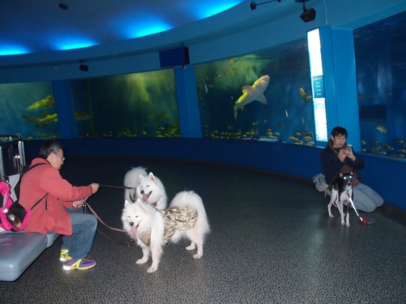 e0018604_06313133.jpg