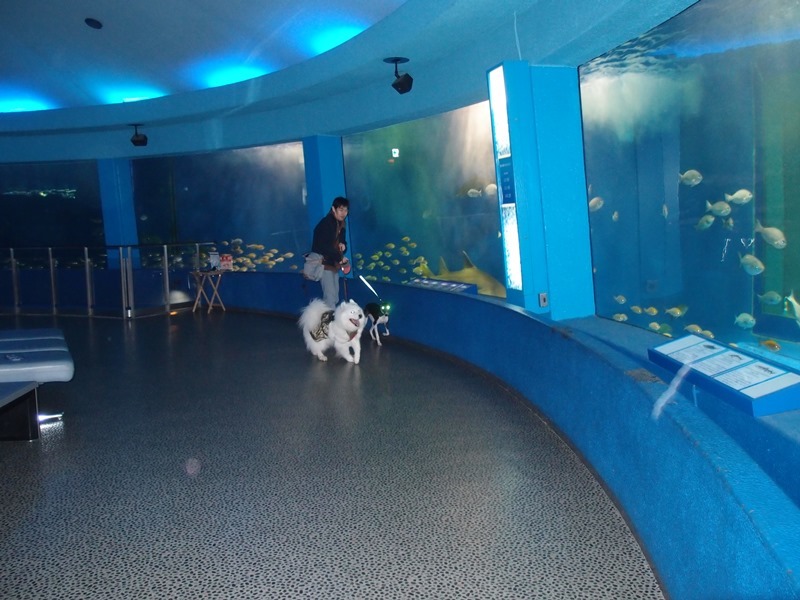 e0018604_06334897.jpg