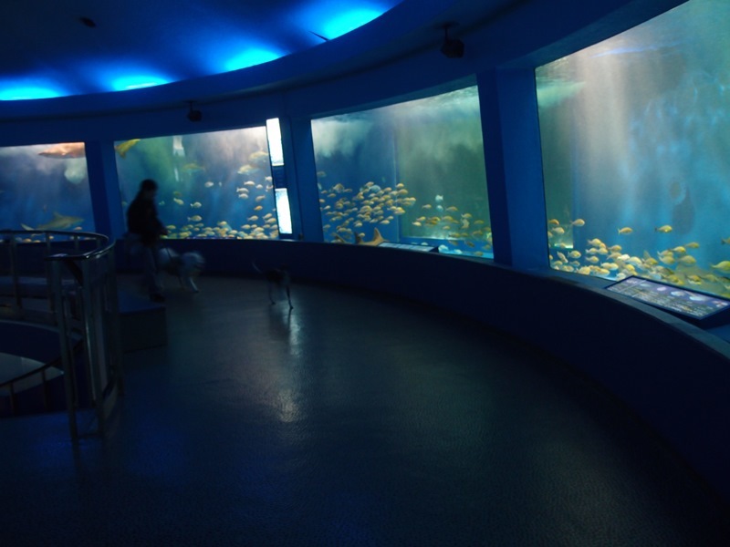 e0018604_06340140.jpg