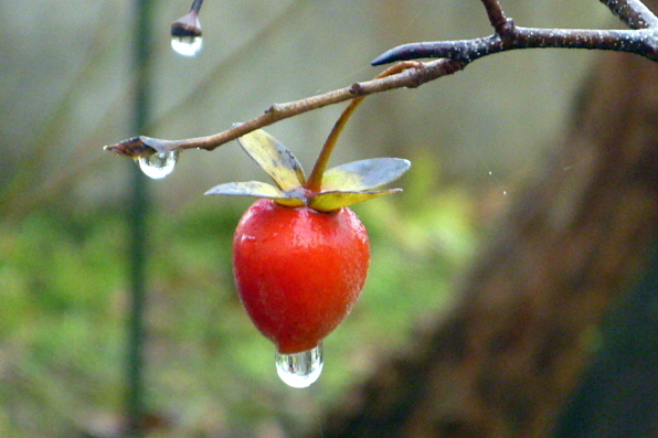 a0214206_12213958.jpg
