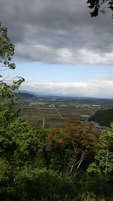 a0048609_595056.jpg