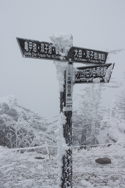 b0244811_21181481.jpg