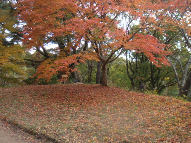 a0019212_9205155.jpg